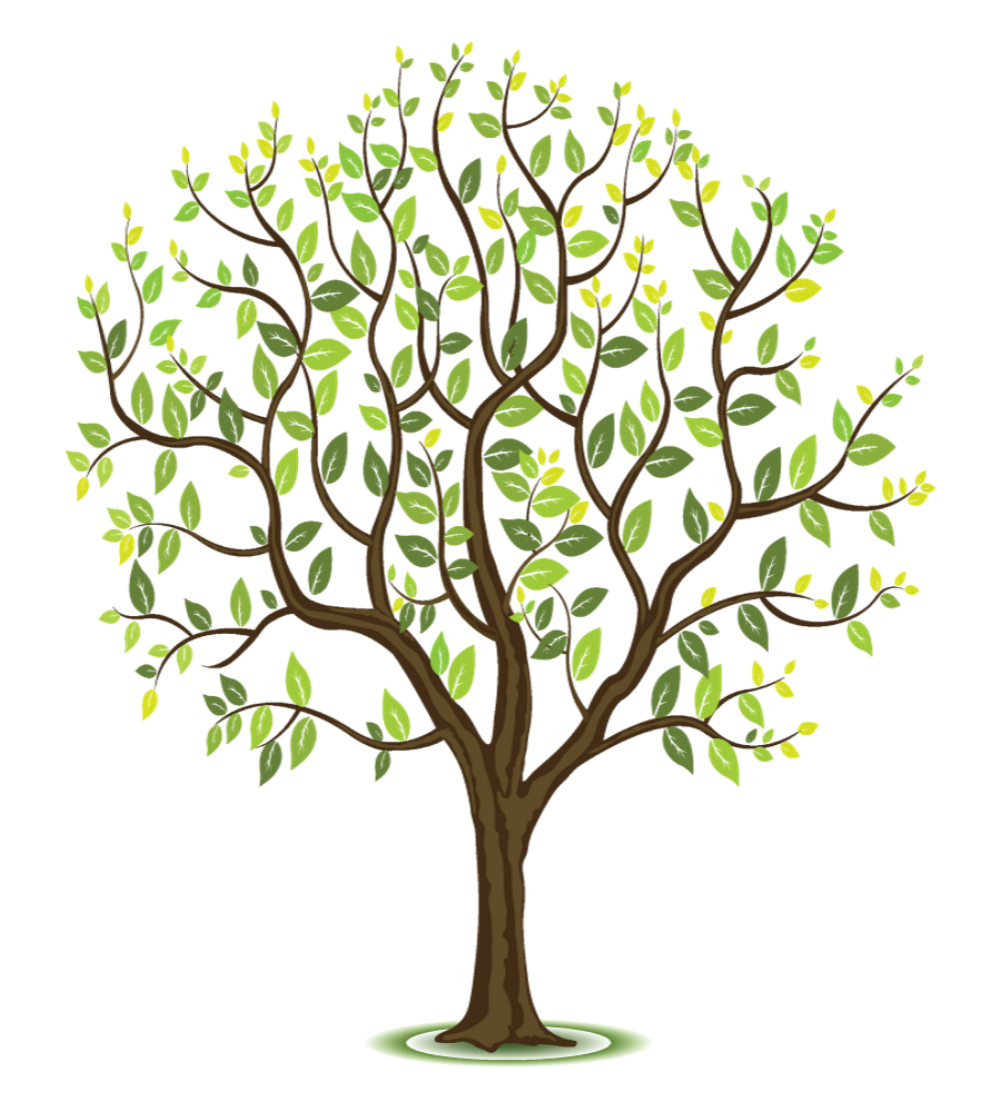 https://soling.fr/wp-content/uploads/2020/08/Arbre2.png