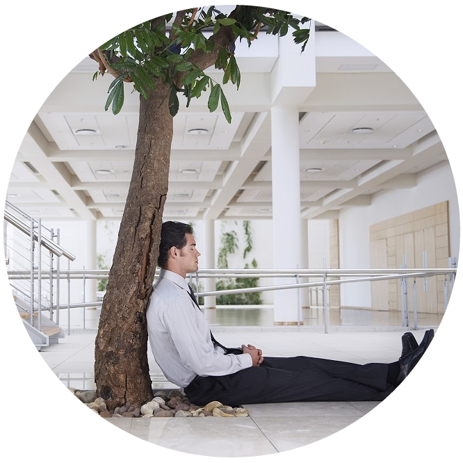 https://soling.fr/wp-content/uploads/2020/08/Homme-arbre-rond.png